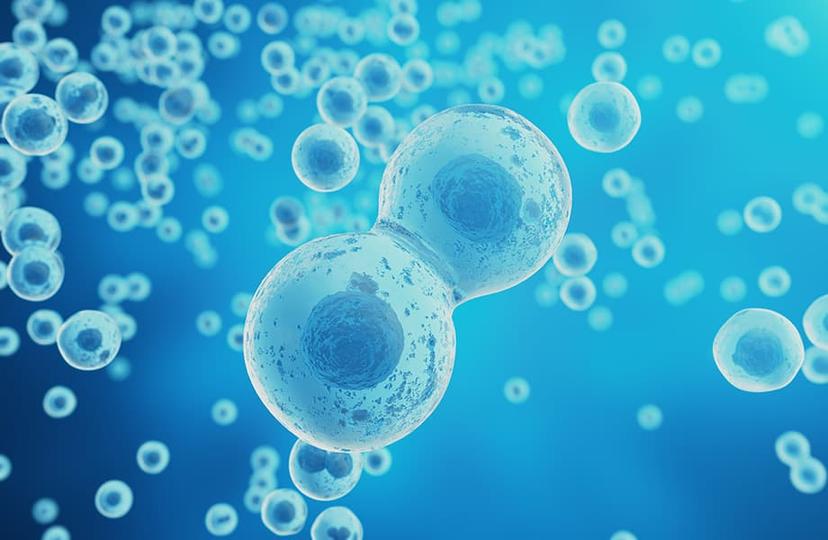 記事サムネイル